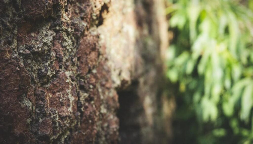 Industrial Machine Learning Platform: How to Choose the Right Solution for Process Optimisation